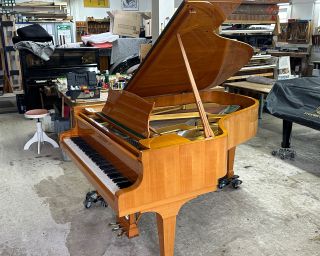 Steinway & Sons A-188 Flügel in Kirschbaum furniert - Bj. 1962 - Hamburg!