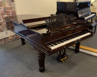 Steinway & Sons B-211 Flügel - Palisander - Hamburg 1896